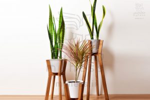 پایه گلدان مارس